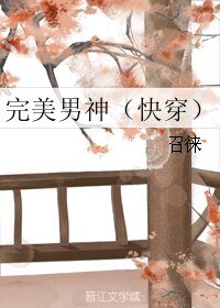 完美男神(快穿)